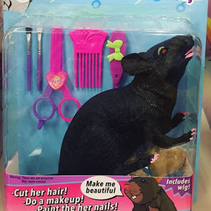 Meet your Posher, Chase